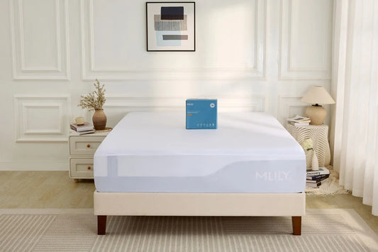Rayon Bamboo 5 Sided Mattress Protector