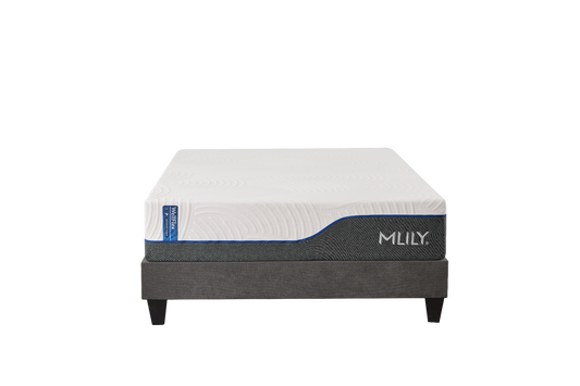 WellFlex Memory Foam Mattress