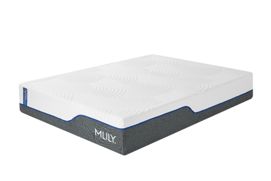 WellFlex Memory Foam Mattress