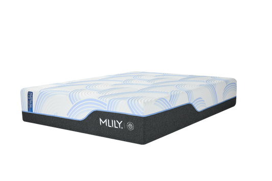 WellFlex ICE Memory Foam Mattress