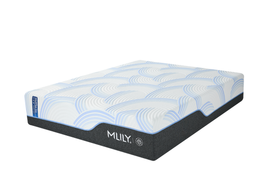 WellFlex ICE Memory Foam Mattress